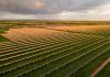 Czego nie widać na zdjęciach farmy fotowoltaicznej, a co decyduje o jej pracy przez 30 lat? Widok z lotu ptaka na naziemną farmę fotowoltaiczną z rzędami stołów o zachodzie słońca