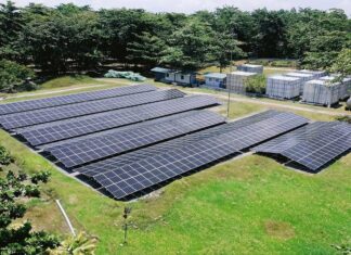 Pełne finansowanie farm solarnych: specjalistyczne kredyty inwestycyjne dla wielkoskalowych instalacji fotowoltaicznych Bank oferuje preferencyjne kredyty na budowę farm solarnych dla przedsiębiorców i rolników