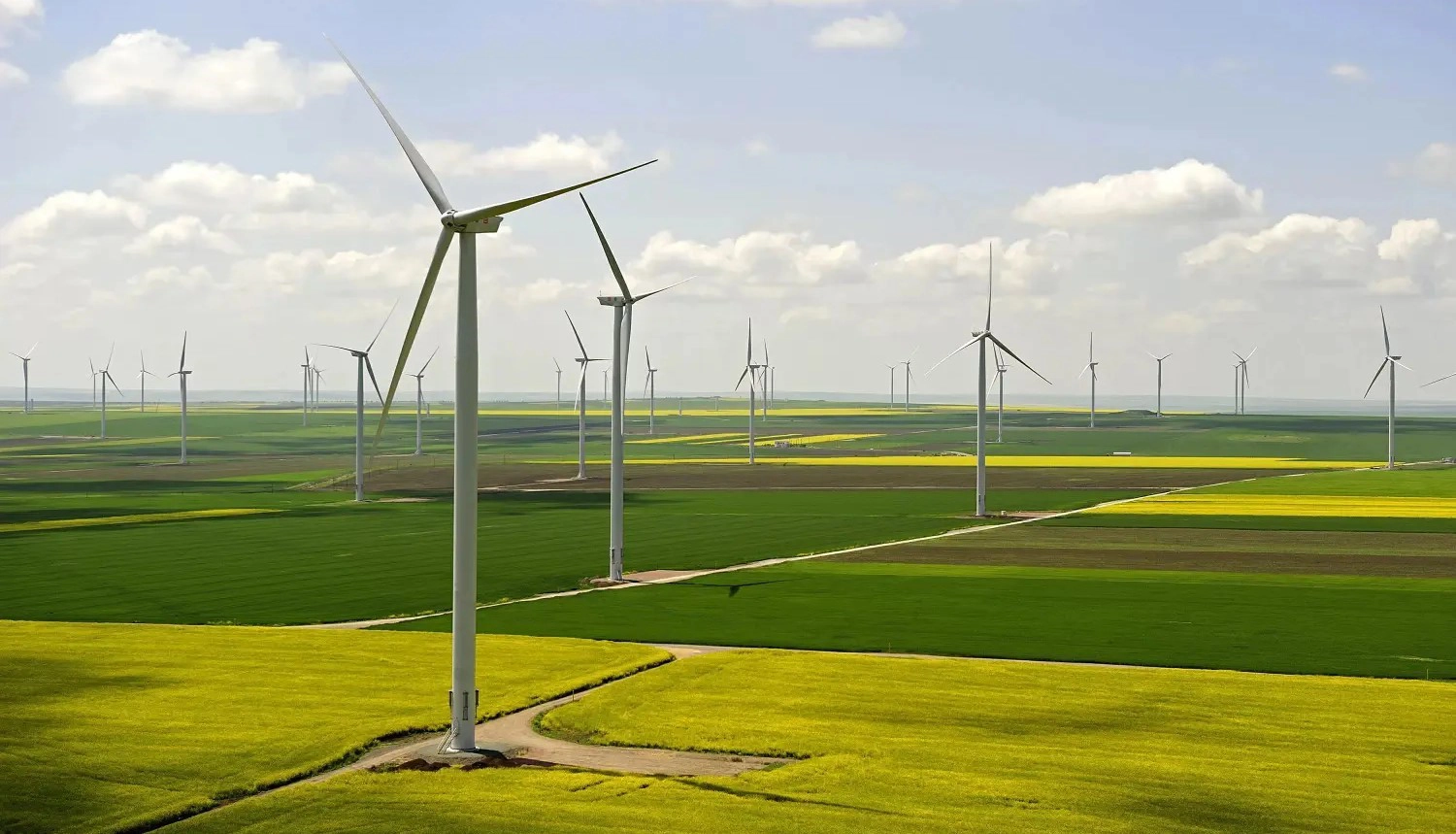 w polsce rośnie zainteresowanie długoterminowymi umowami ppa na zakup zielonej energii umowy ppa napędzają rozwój oze w polsce