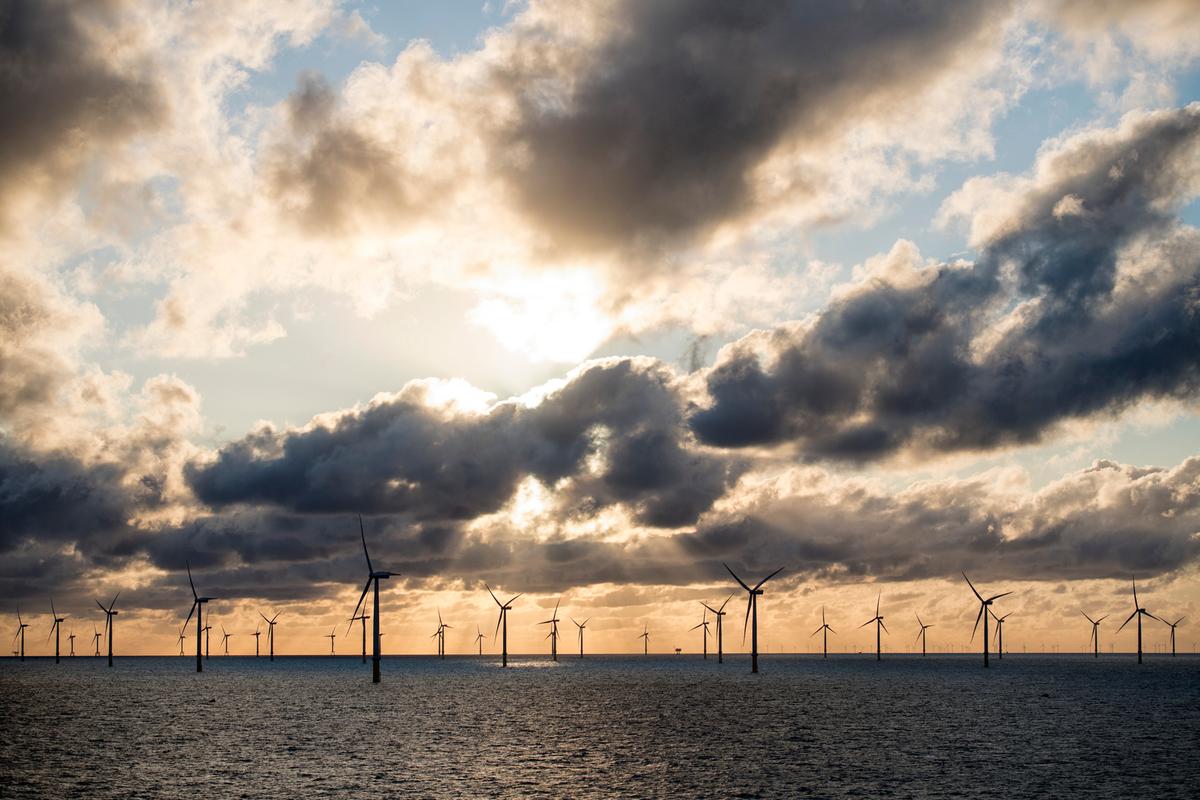 polskie firmy coraz częściej zawierają umowy ppa na energię odnawialną polskie firmy zawierają długoterminowe kontrakty na energię